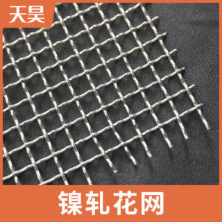 纯镍轧花网粗丝大孔镍丝轧花编织过滤筛网