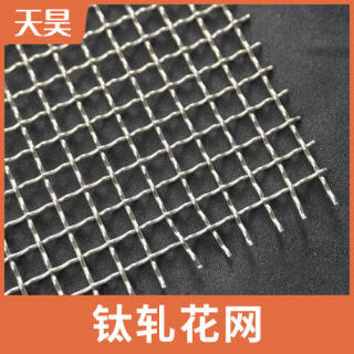 2-10目大丝大孔纯钛轧花网